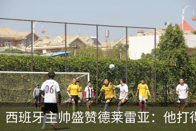 西班牙主帅盛赞德莱雷亚：他打得极其出色