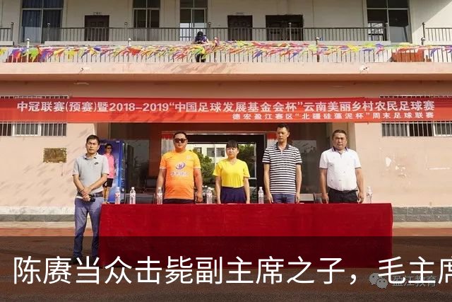 陈赓当众击毙副主席之子，毛主席一言不发，就送了一箱东西